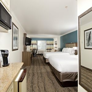 Queen Suite